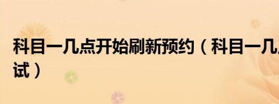 科目一几点开始刷新预约（科目一几点开始考试）