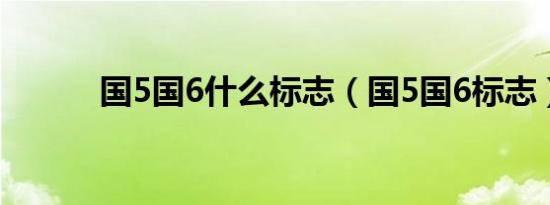 国5国6什么标志（国5国6标志）