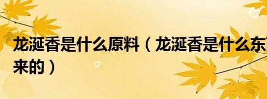 龙涎香是什么原料（龙涎香是什么东西生产出来的）