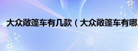 大众敞篷车有几款（大众敞篷车有哪几款）