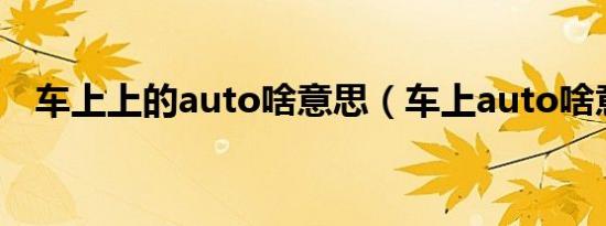 车上上的auto啥意思（车上auto啥意思）