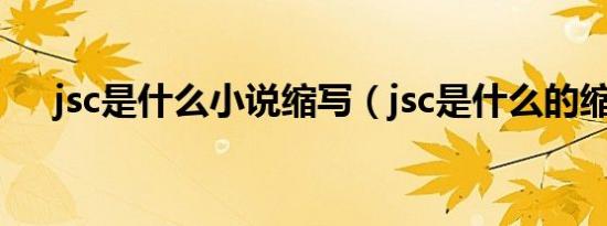 jsc是什么小说缩写（jsc是什么的缩写）