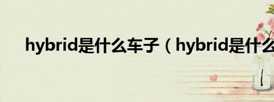 hybrid是什么车子（hybrid是什么车）