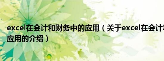 excel在会计和财务中的应用（关于excel在会计和财务中的应用的介绍）