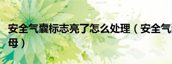 安全气囊标志亮了怎么处理（安全气囊标志字母）