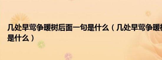 几处早莺争暖树后面一句是什么（几处早莺争暖树下一句诗是什么）