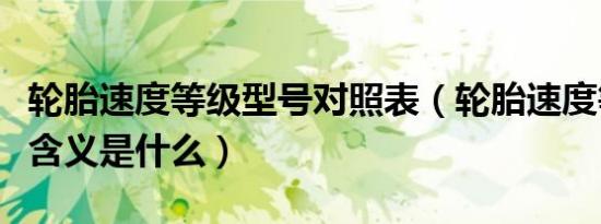轮胎速度等级型号对照表（轮胎速度等级字母含义是什么）