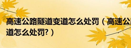 高速公路隧道变道怎么处罚（高速公路隧道变道怎么处罚?）
