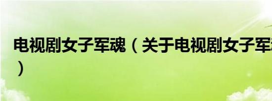 电视剧女子军魂（关于电视剧女子军魂的介绍）