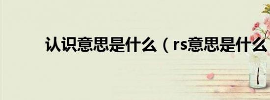 认识意思是什么（rs意思是什么）