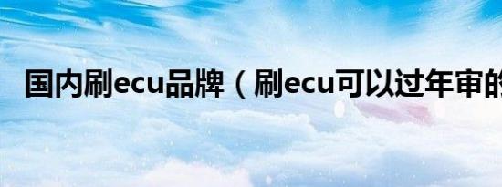 国内刷ecu品牌（刷ecu可以过年审的吗?）