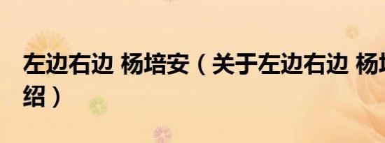 左边右边 杨培安（关于左边右边 杨培安的介绍）