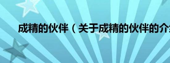 成精的伙伴（关于成精的伙伴的介绍）