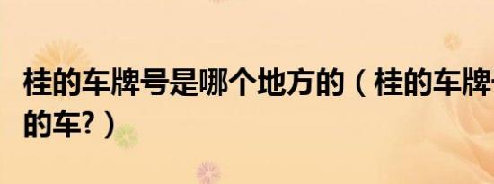 桂的车牌号是哪个地方的（桂的车牌号是哪里的车?）
