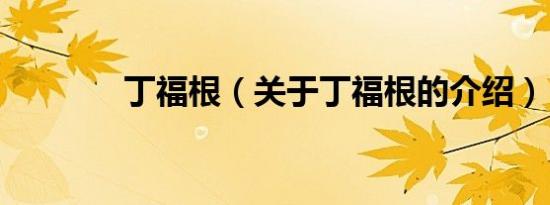丁福根（关于丁福根的介绍）