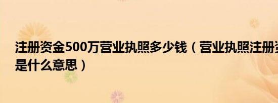 注册资金500万营业执照多少钱（营业执照注册资金500万是什么意思）
