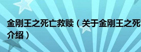 金刚王之死亡救赎（关于金刚王之死亡救赎的介绍）