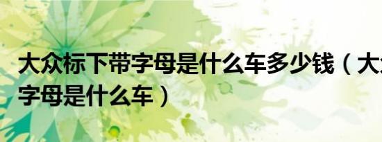 大众标下带字母是什么车多少钱（大众标下带字母是什么车）