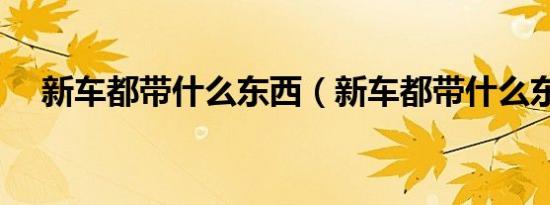 新车都带什么东西（新车都带什么东西）