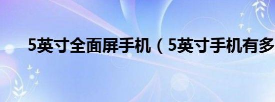 5英寸全面屏手机（5英寸手机有多大）