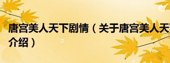 唐宫美人天下剧情（关于唐宫美人天下剧情的介绍）