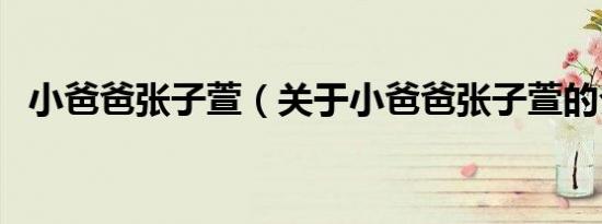 小爸爸张子萱（关于小爸爸张子萱的介绍）