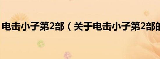 电击小子第2部（关于电击小子第2部的介绍）