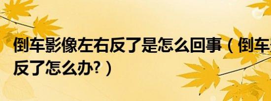 倒车影像左右反了是怎么回事（倒车影像左右反了怎么办?）