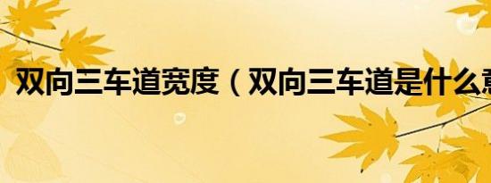 双向三车道宽度（双向三车道是什么意思?）