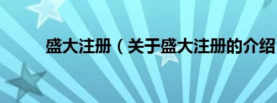盛大注册（关于盛大注册的介绍）