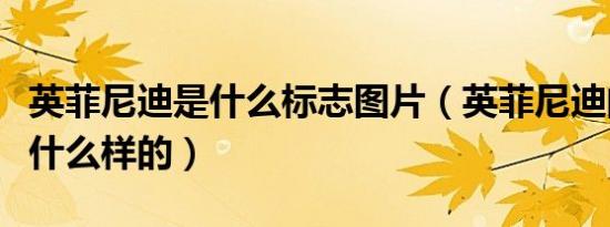 英菲尼迪是什么标志图片（英菲尼迪的标志是什么样的）