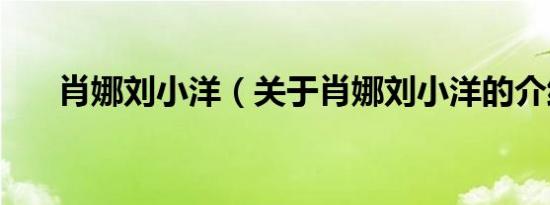 肖娜刘小洋（关于肖娜刘小洋的介绍）