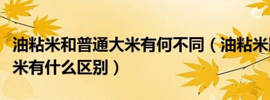 油粘米和普通大米有何不同（油粘米跟普通大米有什么区别）