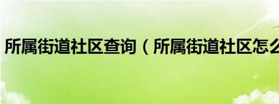 所属街道社区查询（所属街道社区怎么查询）