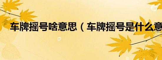车牌摇号啥意思（车牌摇号是什么意思?）