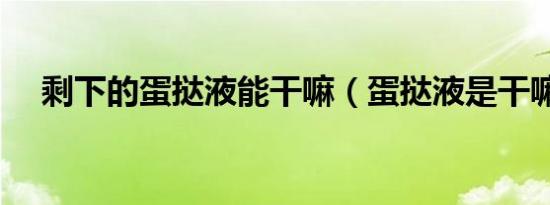 剩下的蛋挞液能干嘛（蛋挞液是干嘛的）