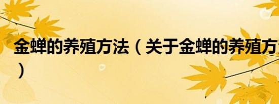 金蝉的养殖方法（关于金蝉的养殖方法的介绍）