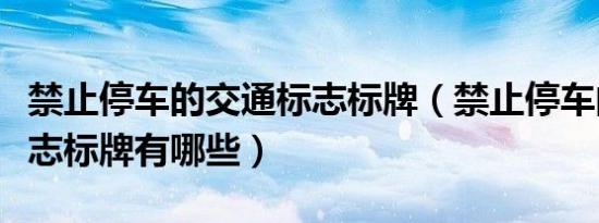 禁止停车的交通标志标牌（禁止停车的交通标志标牌有哪些）