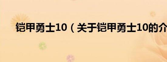 铠甲勇士10（关于铠甲勇士10的介绍）