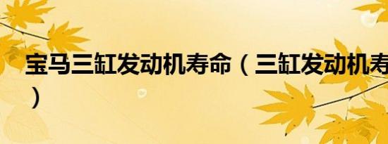 宝马三缸发动机寿命（三缸发动机寿命短吗?）