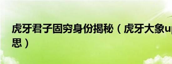虎牙君子固穷身份揭秘（虎牙大象up什么意思）