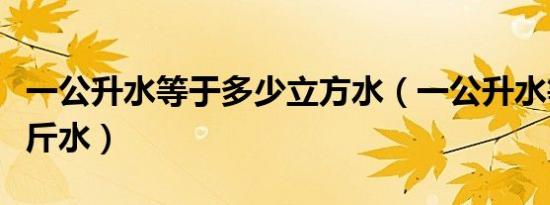 一公升水等于多少立方水（一公升水等于多少斤水）