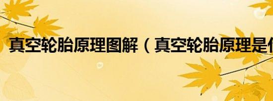 真空轮胎原理图解（真空轮胎原理是什么?）