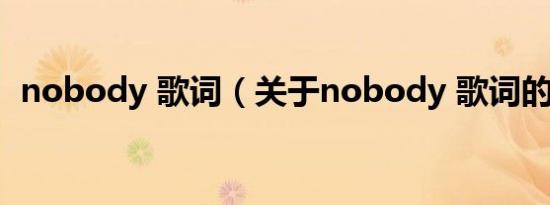 nobody 歌词（关于nobody 歌词的介绍）