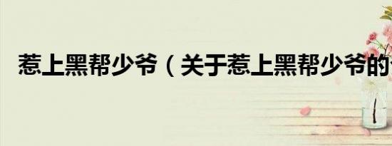 惹上黑帮少爷（关于惹上黑帮少爷的介绍）