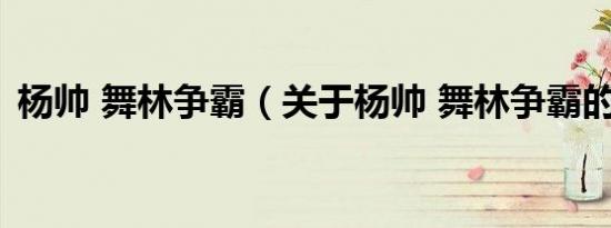 杨帅 舞林争霸（关于杨帅 舞林争霸的介绍）