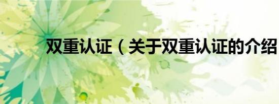 双重认证（关于双重认证的介绍）