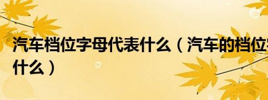 汽车档位字母代表什么（汽车的档位字母代表什么）