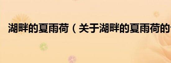 湖畔的夏雨荷（关于湖畔的夏雨荷的介绍）