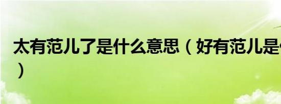 太有范儿了是什么意思（好有范儿是什么意思）